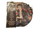 Sid Vicious (Sex Pistols) Love Kills Vinyl Album Limited Edition Picture Disc