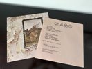 Led Zeppelin IV (Untitled) LP | 1971 Atlantic SD 7208 | Porky / Pecko Duck VG+