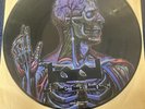 Tool Lateralus Limited Picture Disc Promo 12