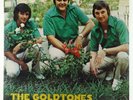 Goldtones - By Request LP - PMD - Private Modern Soul Disco SEALED