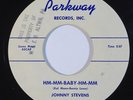 Teen Doo Wop 45 JOHNNY STEVENS Hm-Mm-Baby-Hm-Mm/Apple Taffy on Parkway VG++