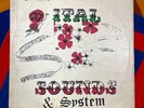 Dub Specialist – Ital Sounds & System Roots Reggae Vintage 12