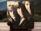 Signed Zebra Album Cover Autographed by All