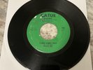 New Orleans Soul  45 WILLIE TEE “ First Taste Of Hurt”  Gatur  509  Excellent