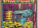 Hardcore Punk Vinyl LP RAW POWER Screams from the Gutter Toxic Shock 1st Press