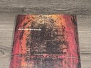 Nine Inch Nails March Of The Pigs UK Limited Edition Etched 9” Record** Rare