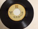 “Cool, Cool, Water”  Beach Boys on Brothers/Reprise Label-0998 Stock Copy.  Rare
