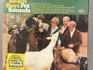 The Beach Boys – Pet Sounds 2xLP - 40th Anniversary - Green/Yellow Stereo Mono
