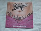THE DARKNESS GROWING ON ME  2003 Original VINYL  7