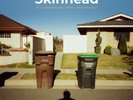 Skinhead It's a Beautiful Day, What a Beautiful Day (Vinyl)