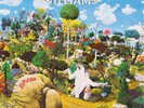 Devon Williams Euphoria (Vinyl) 12