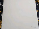 The Beatles Vinyl S/T White Album 2014 UK Mono Reissue  Please Read