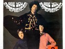 JIMI HENDRIX EXPERIENCE ARE YOU EXPERIENCED POLYDOR SLPM1391 Japan VINYL LP