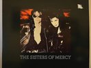 THE SISTERS OF MERCY - This Corrosion (1987) - 12