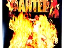Pantera Reinventing The Steel Vinyl LP 2012 Europe Rhino 180g Gatefold EX EX