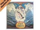 Steve Hillage Fish Rising 1975 Virgin V 2031 Lp Vinyl Record + Insert VG+ / VG+