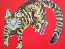 Yasuaki Shimizu | Kakashi LP
