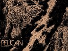 Pelican Ascending (Vinyl) 12