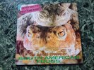 Peter And The Test Tube Babies - The Mating Sounds Of South American Frogs Lp