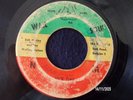 BOB MARLEY AND THE WAILING WAILERS  -  NICE TIME  (ROCKSTEADY)  45