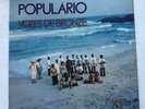Vozes De Bronze - Populario Volume 1 Original LP Verocai  Brazil Funk Samba NM