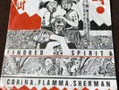 Kindred Spirit & Corina Flamma Sherman ‎– Put Your Spirit Up - EXCELLENT CONDIT