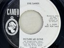 1966 Evie Sands - Picture Me Gone - 7