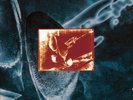 Dire Straits On Every Street (Vinyl) 12