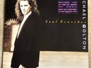 MICHAEL BOLTON - Soul Provider (1989) Vinyl LP Record. NEAR MINT