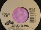 Blue Oyster Cult 