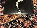David Bowie ‎The Man Who Sold The World UK 1972 Reissue Vinyl RCA +Poster 1E/1E