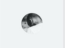 Swimming in Circles by Miller, Mac (Record, 2020)