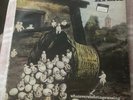 Kevin Ayers Vinyl Lp WHATEVERSHEBRINGSWESING SHVL 800