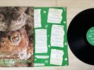 Peter And The Test Tube Babies The Mating Sounds Of South America Frogs 1983 LP
