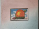 THE ALLMAN BROTHERS BAND EAT A PEACH 2-LP SET VG+ VINYL RECORD WARNER 1972