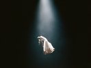 Ariana Grande eternal sunshine deluxe: brighter days ahead (Vinyl)