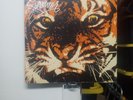 Survivor Eye Of The Tiger LP 1982 Stereo Scotti Brothers FZ 38062 New.