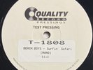 BEACH BOYS Surfin' Safari QRP Analogue Productions Mono Test Pressing Vinyl LP