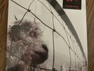 Pearl Jam  Vs. Clear Vinyl LP) NEW/SEALED Record