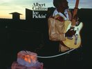 Albert Collins Ice Pickin' (Vinyl) 12