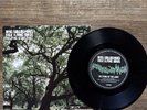 NEW Noel Gallagher’s High Flying Birds The Dying Of The Light 7” Black Vinyl
