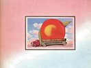 ALLMAN BROTHERS BAND  on LP  