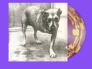 Alice in Chains PURPLE & YELLOW SWIRL Vinyl Self Titled 30th Anniversary LP OOP