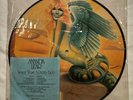 Amanda Lear Never Trust A Pretty Face Vinyl Picture Disc UK 1979 - VG+