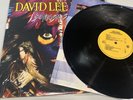 DAVID LEE ROTH Sonrisa Salvaje PROMO LP 1986 WB 25516 Promotional Van Halen