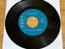 1966 GARAGE PSYCH 45 THE SOUNDS OF RANDALL WASTING MY TIME CARL 101 MINT-