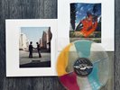 Pink Floyd Wish You Were Here - Bad World - Quad Liquid Filled Variant IN HAND