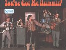 THE HASSLES-(BILLY JOEL)--PICTURE SLEEVE + 45-(YOU'VE GOT ME HUMMIN')--PS--PIC--