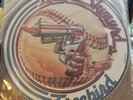 LYNYRD SKYNYRD FREEBIRD SWEET HOME ALABAMA PICTURE DISC RARE RECORD NM BEAUTY