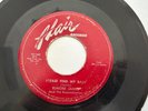 Blues 45 - Elmore James 